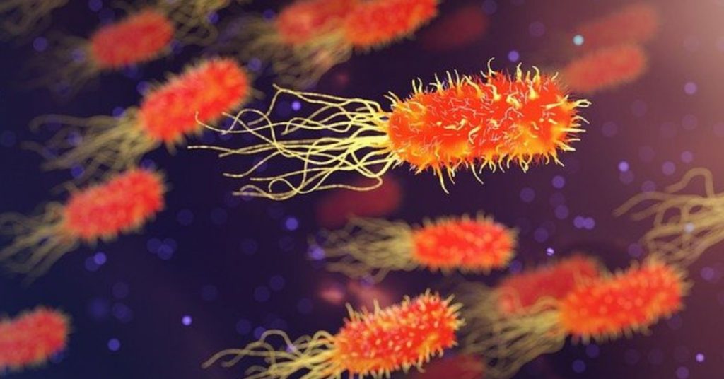 E. Coli Symptoms And How To Get Better Fast - Holistic Therapies by ...