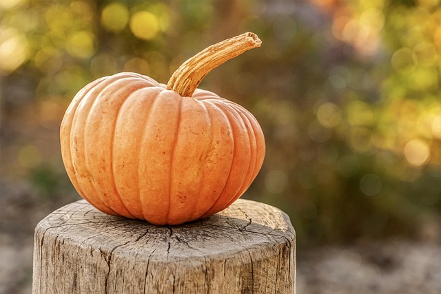 Pumpkin on a log