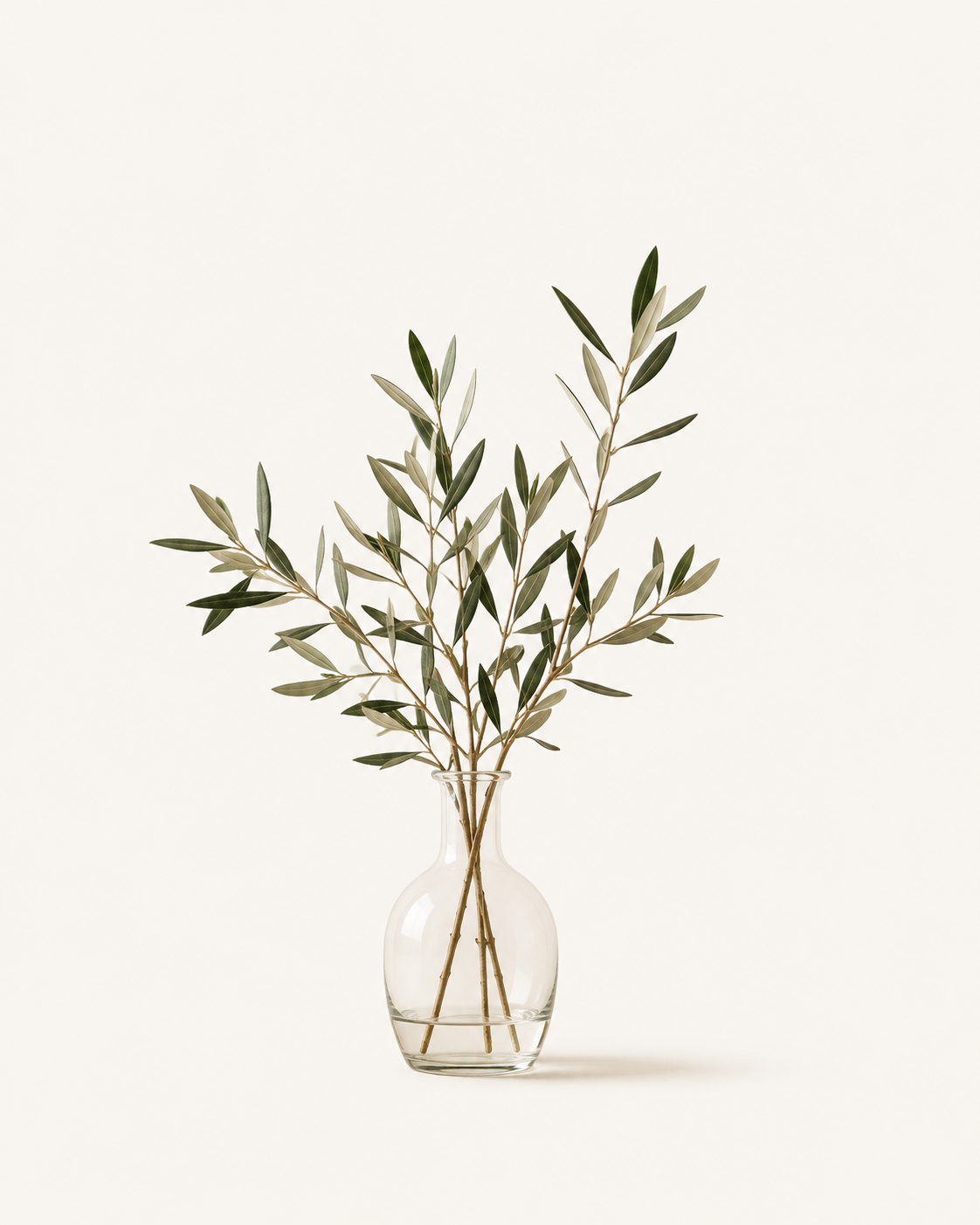Olive branches in a vase